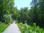 Trail Image 1