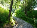 Trail Image 1