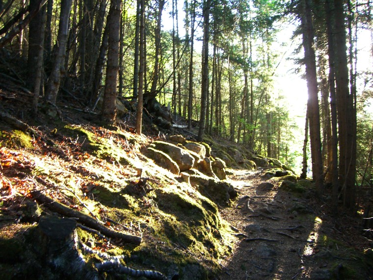 Fourth trail image