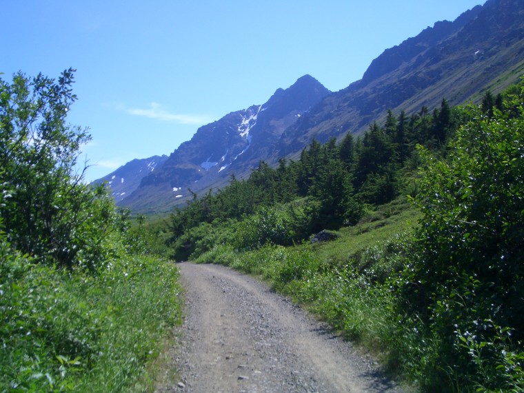 First trail image