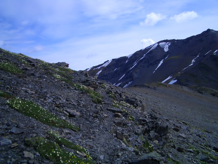 Fourth trail image